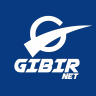 GIBIRNet