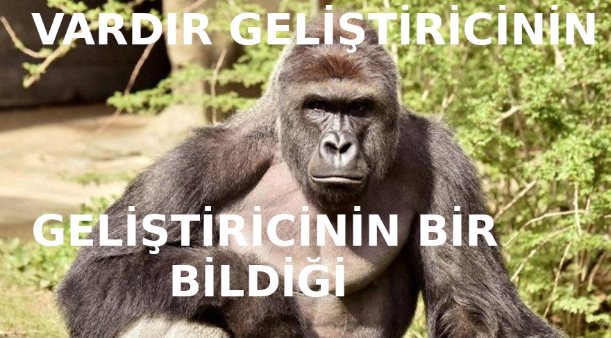 vardir-gelistiricinin-bildigi.jpg